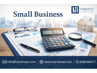 your-trusted-partner-for-small-business-audit-services-small-0