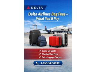 delta-airlines-bag-fees-what-youll-pay-small-0