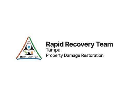 expert-mold-remediation-tampa-fl-services