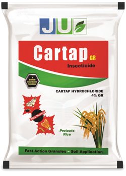 fertilizer-for-maize-production-big-0