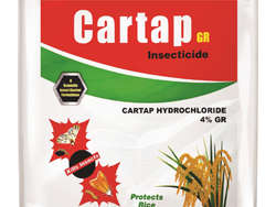 fertilizer-for-maize-production