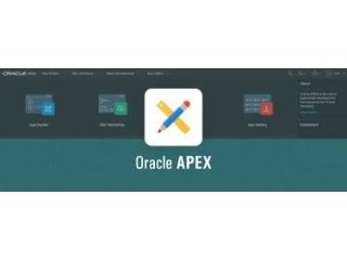oracle-apex-application-development-and-consulting-services-small-0