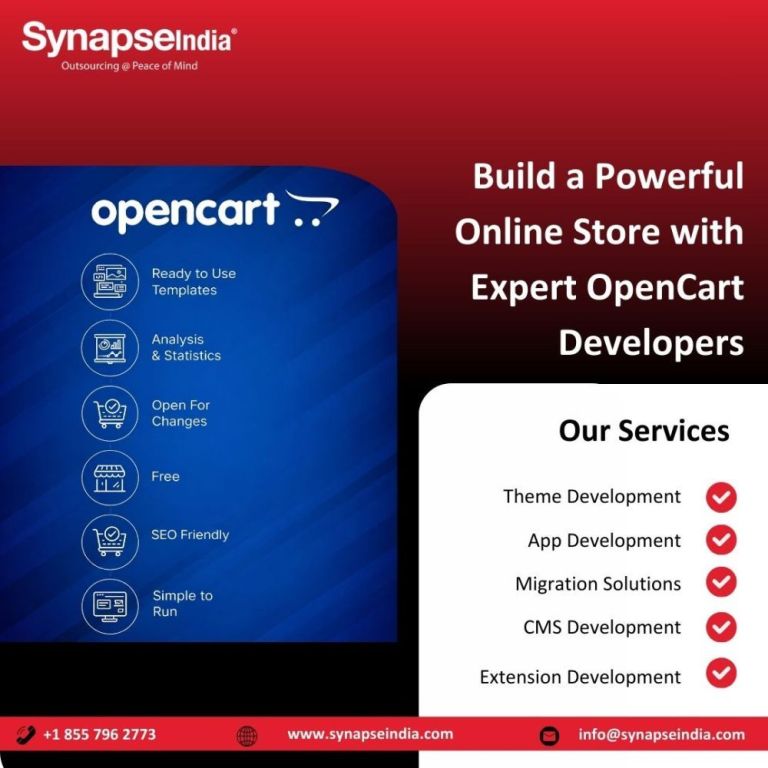 build-a-powerful-online-store-with-expert-opencart-developers-big-0