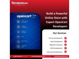 build-a-powerful-online-store-with-expert-opencart-developers-small-0