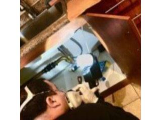 vanish-canada-pest-control-trusted-gta-extermination-services-small-0