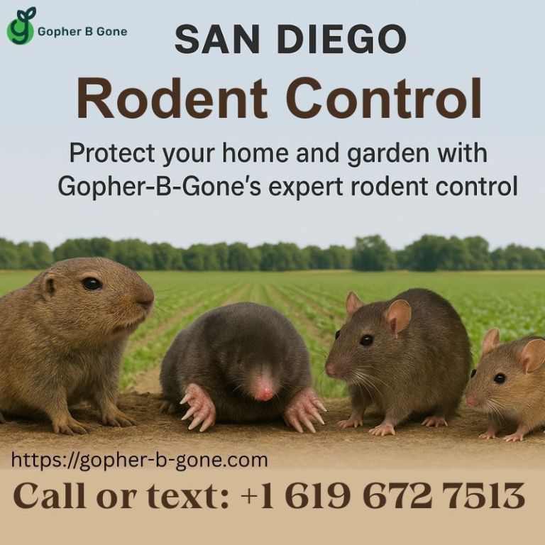 san-diego-gopher-rodent-control-safe-effective-local-big-1