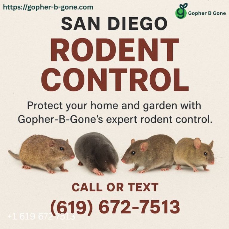 san-diego-gopher-rodent-control-safe-effective-local-big-0