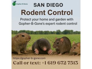 san-diego-gopher-rodent-control-safe-effective-local-small-1