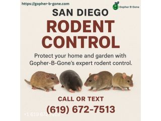 san-diego-gopher-rodent-control-safe-effective-local-small-0