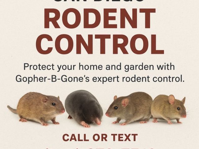 san-diego-gopher-rodent-control-safe-effective-local