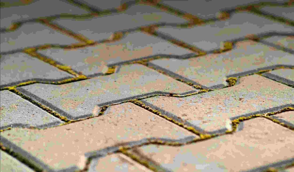 enhance-your-outdoor-living-with-pavers-in-orlando-florida-big-0