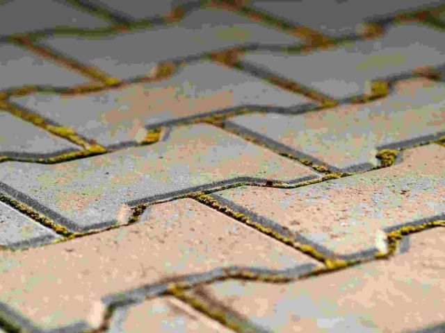 enhance-your-outdoor-living-with-pavers-in-orlando-florida