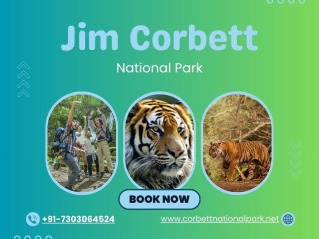 best-resorts-in-jim-corbett-national-park-for-a-perfect-wildlife
