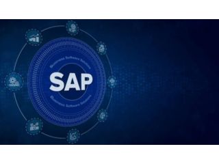 sap-concur-expense-management-implementation-and-support-small-0