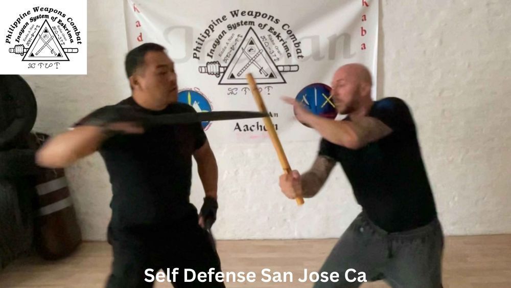 martial-arts-silicon-valley-california-big-2