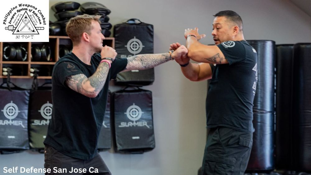 martial-arts-silicon-valley-california-big-1