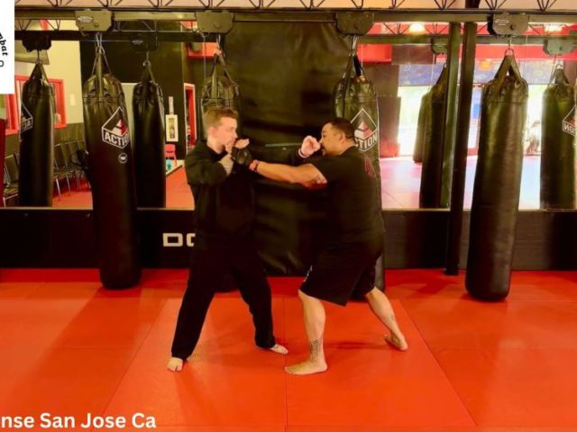 martial-arts-silicon-valley-california