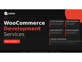 expert-woocommerce-development-services-custom-online-stores-small-0