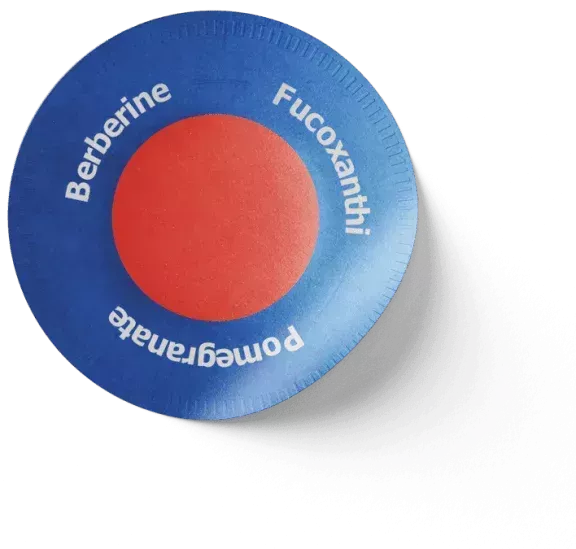 murwon-patch-complete-guide-benefits-reviews-how-it-works-big-1