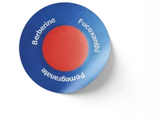 murwon-patch-complete-guide-benefits-reviews-how-it-works-small-1