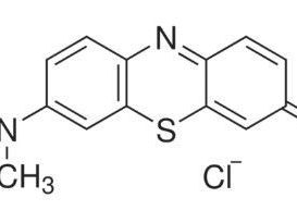 trusted-giemsa-stain-manufacturer-supplier-gsp-chem