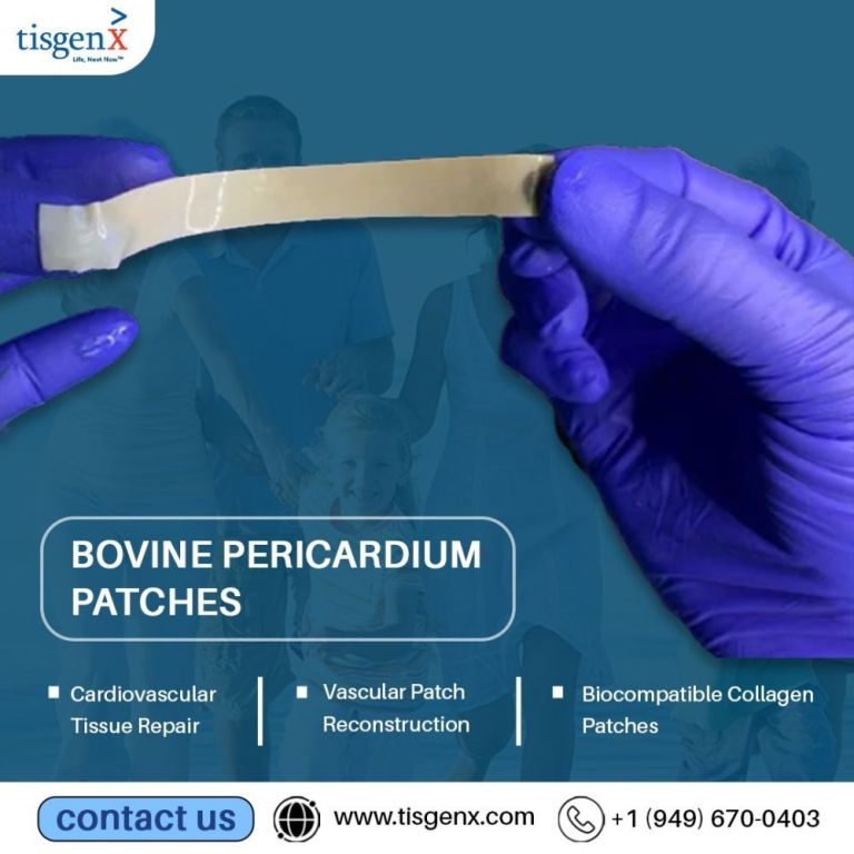 bovine-pericardium-patches-big-0