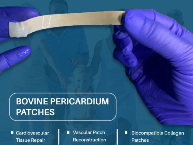 bovine-pericardium-patches