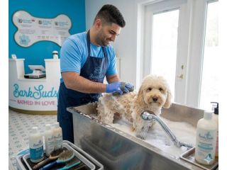 is-your-pet-due-for-a-refresh-try-expert-grooming-today-small-0