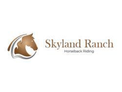 horseback-riding-in-seattle-scenic-trails-and-outdoor-adventures