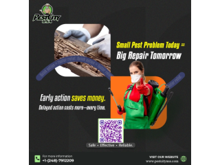 termite-control-services-small-0