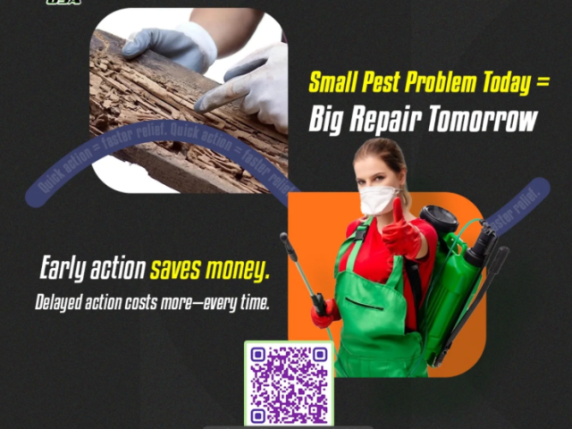 termite-control-services