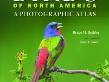 buy-birds-of-north-america-hardcover-at-magsstore