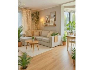 meraki-studio-apartments-pune-high-rental-demand-small-0