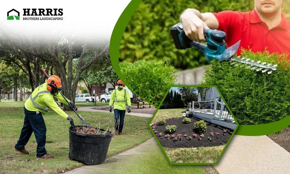 professional-landscaping-atco-harris-brothers-big-0