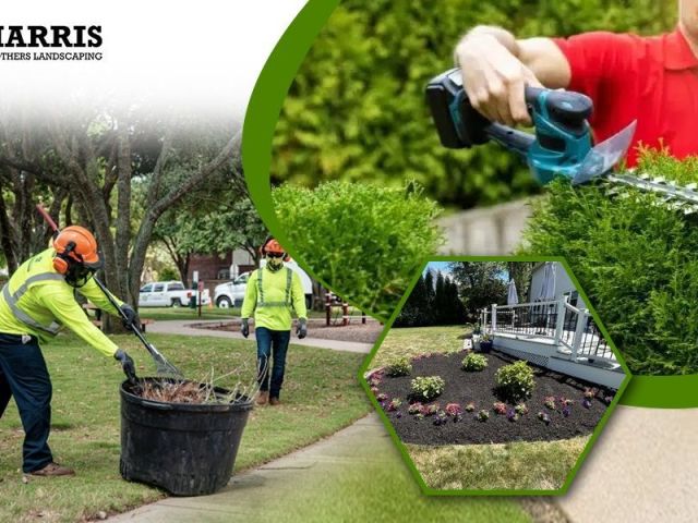professional-landscaping-atco-harris-brothers