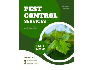 pest-control-small-0