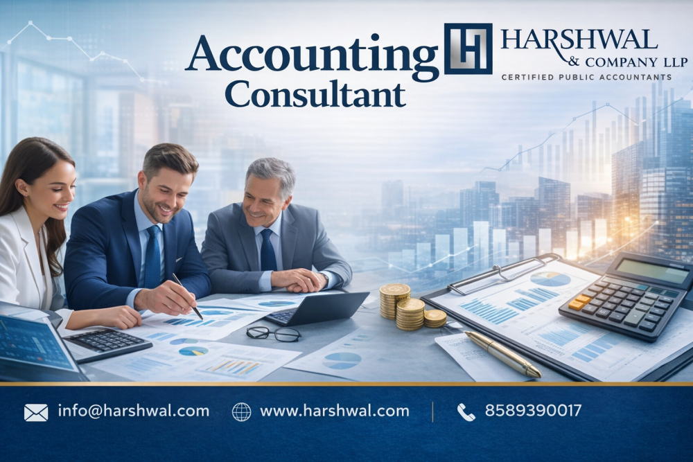 hire-a-skilled-accounting-consultant-for-hasslefree-accounting-big-0