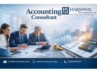 hire-a-skilled-accounting-consultant-for-hasslefree-accounting-small-0