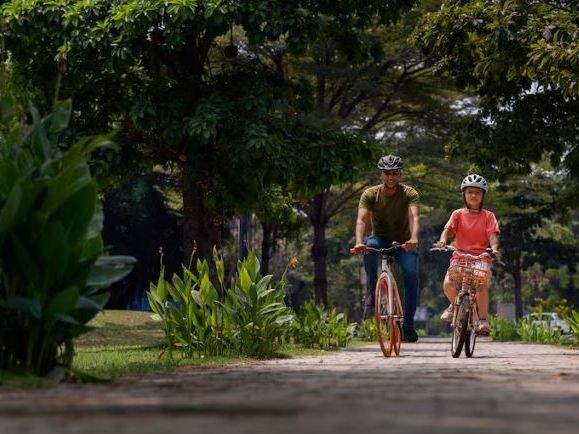 mtb-tours-in-costa-rica-adventure-rides-by-searchhounds