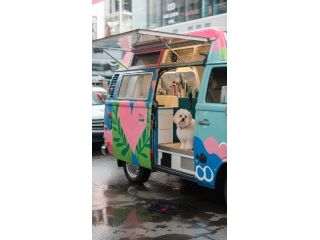 convenient-fishhawk-mobile-dog-grooming-services-small-0