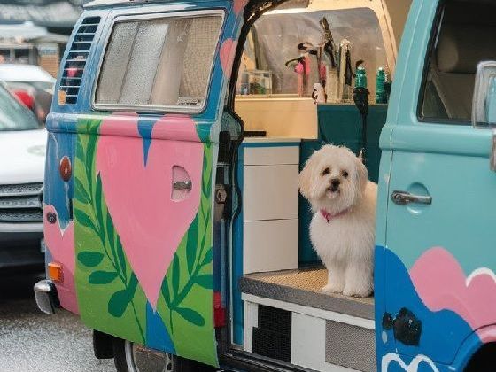 convenient-fishhawk-mobile-dog-grooming-services