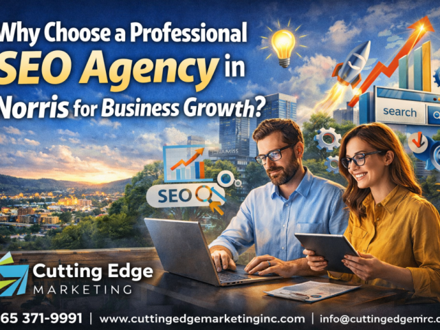 why-choose-a-professional-seo-agency-in-norris-business-growth