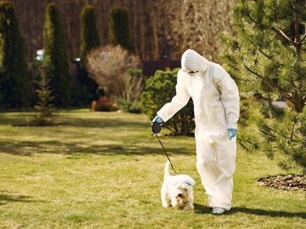norwalk-animal-control-prevent-damage-keep-your-home-safe