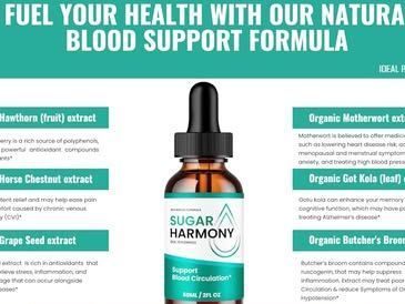 sugar-harmony-a-complete-guide-to-natural-blood-sugar-support