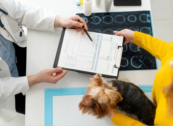 advanced-veterinary-ultrasound-service-in-galt-big-0