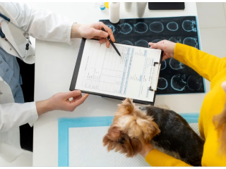 advanced-veterinary-ultrasound-service-in-galt-small-0