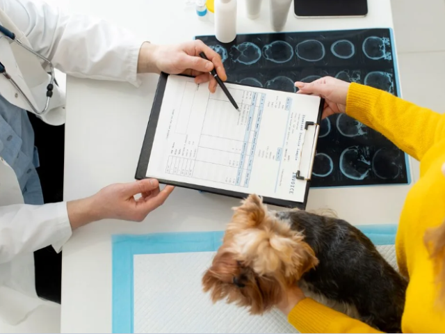 advanced-veterinary-ultrasound-service-in-galt