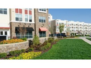 commercial-lawn-care-services-orlando-fl-small-0