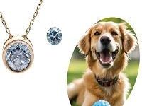 turn-ashes-into-diamonds