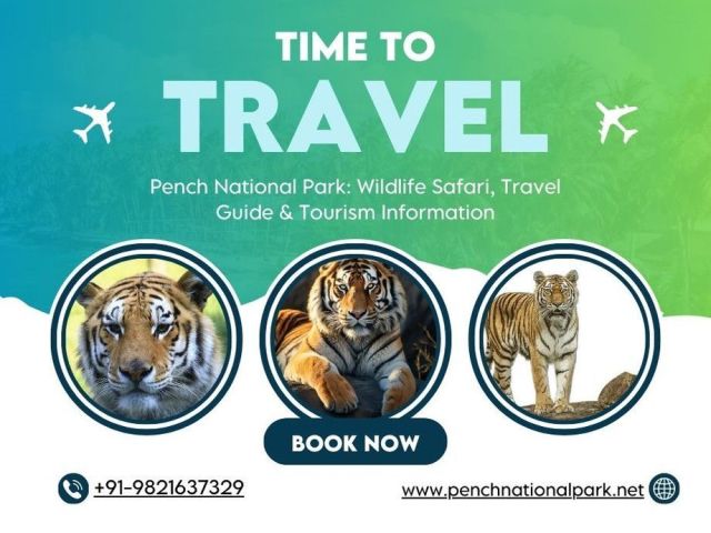explore-pench-tiger-reserve-with-easy-pench-national-park-safari